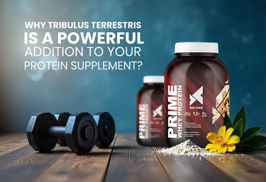 Why Tribulus Terrestris is a Powerful Addition to Your Protein Supplement